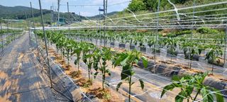 이상직님의 자유주제 · 자유게시판 작성글 사진