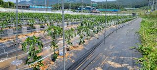 이상직님의 자유주제 · 자유게시판 작성글 사진