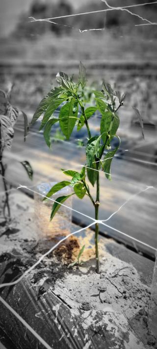 이상직님의 자유주제 · 자유게시판 작성글 사진