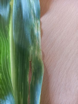 황광열님의 6월 농사계획🧑🏻‍🌾 · 참여글 작성글 사진