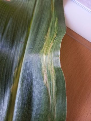 황광열님의 6월 농사계획🧑🏻‍🌾 · 참여글 작성글 사진