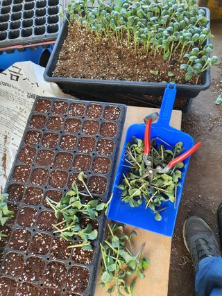 안비님의 6월 농사계획🧑🏻‍🌾 · 참여글 작성글 사진