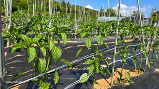 홍성부님의 자유주제 · 칭찬해요 작성글 사진