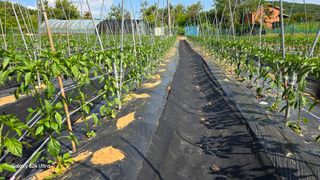 홍성부님의 자유주제 · 칭찬해요 작성글 사진