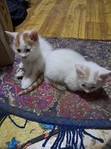 팜모닝 자유주제·자유게시판 게시글 이미지