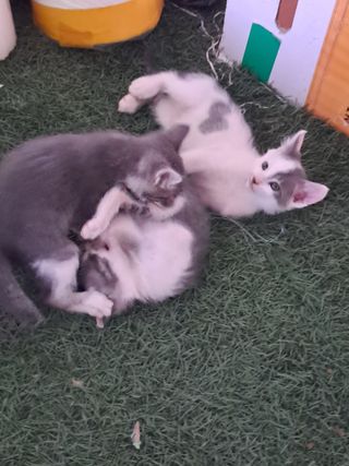 정이오가네농원님의 자유주제 · 자유게시판 작성글 사진