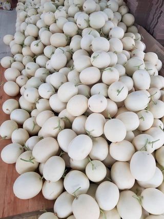 프룻하늬님의 작성글 사진