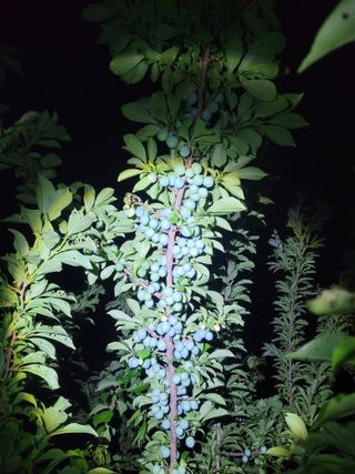 초록농님의 자유주제 · 자유게시판 작성글 사진