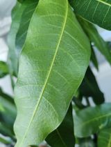 팜모닝 자유주제·자유게시판 게시글 이미지