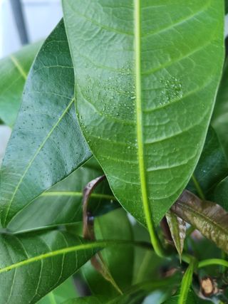 최기홍님의 자유주제 · 자유게시판 작성글 사진