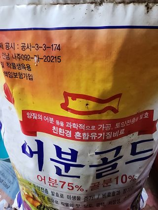 예사랑대빵님의 기타작물 · 영농일지 작성글 사진