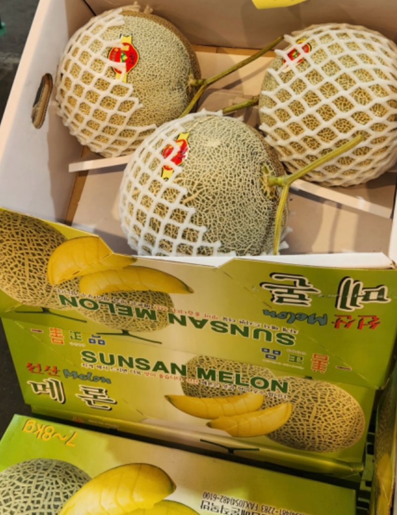 프레셔스님의 장터 판매 상품 [머스크 메론 8키로 3-4수] 첨부 사진