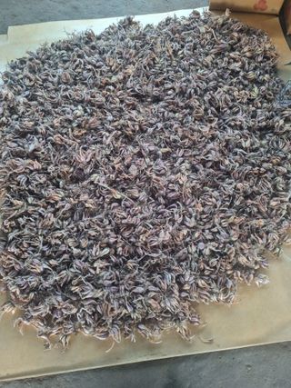 호미대장님의 감자 · 영농일지 작성글 사진