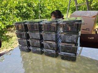 신이내린오디 정가네님의 자유주제 · 자유게시판 작성글 사진