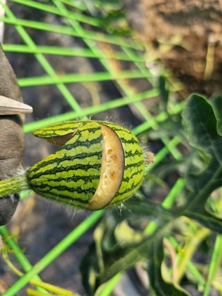 김두영님의 자유주제 · 자유게시판 작성글 사진