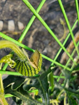 김두영님의 자유주제 · 자유게시판 작성글 사진