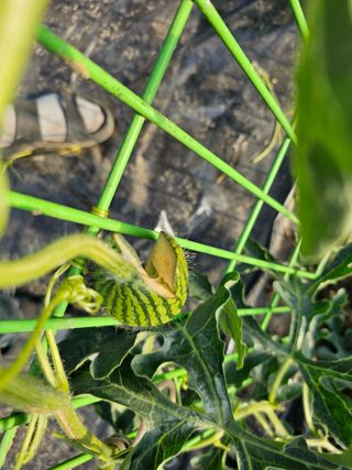 김두영님의 자유주제 · 자유게시판 작성글 사진