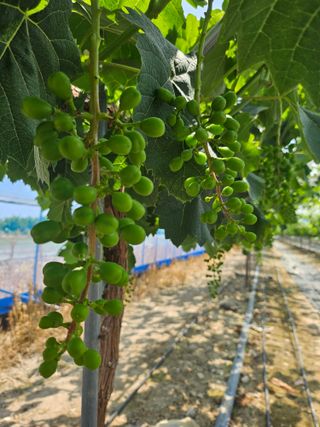 최지훈님의 자유주제 · 자유게시판 작성글 사진