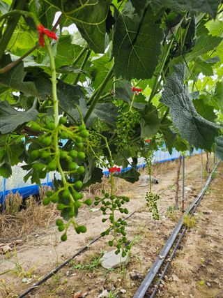 최지훈님의 자유주제 · 자유게시판 작성글 사진