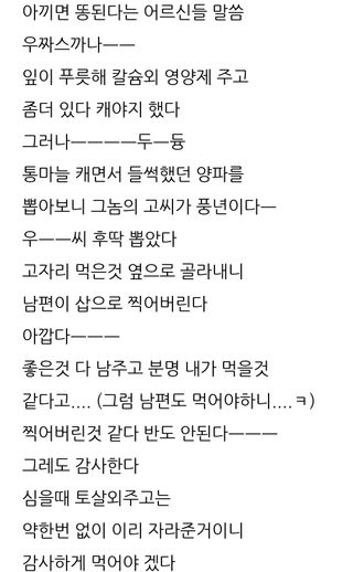 삼성농산님의 양파 · 자유게시판 작성글 사진