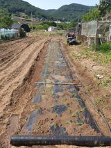 팜모닝 자유주제·자유게시판 게시글 이미지