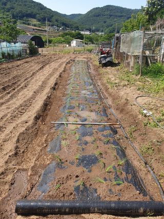 김순필수방님의 자유주제 · 자유게시판 작성글 사진