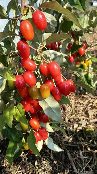 강현숙님의 자유주제 · 자유게시판 작성글 사진