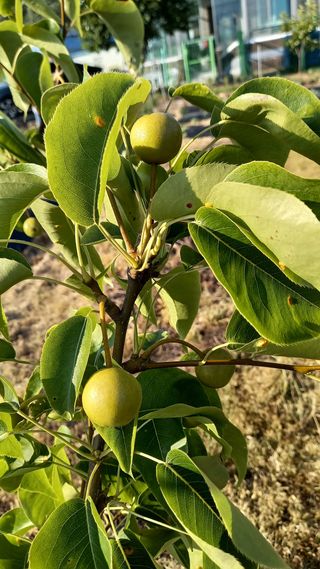 강현숙님의 자유주제 · 자유게시판 작성글 사진