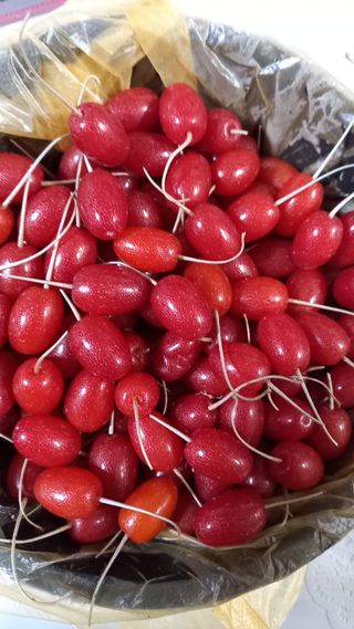 강현숙님의 자유주제 · 자유게시판 작성글 사진