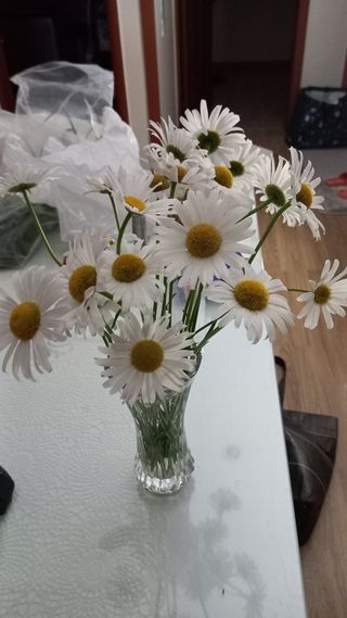 강현숙님의 자유주제 · 자유게시판 작성글 사진