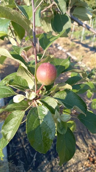 강현숙님의 자유주제 · 자유게시판 작성글 사진
