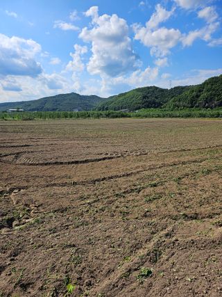 강병학님의 6월 내 작물 자랑하기🌱 · 참여글 작성글 사진