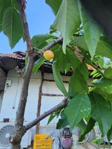 팜모닝 자유주제·자유게시판 게시글 이미지