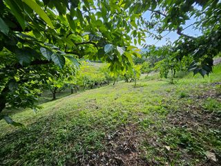 토종님의 6월 내 작물 자랑하기🌱 · 참여글 작성글 사진