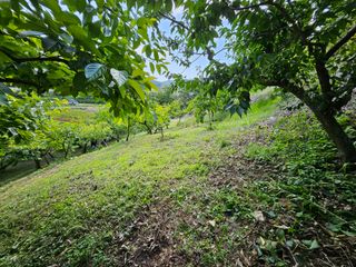 토종님의 6월 내 작물 자랑하기🌱 · 참여글 작성글 사진