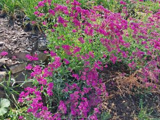 경선님의 자유주제 · 사진전 작성글 사진