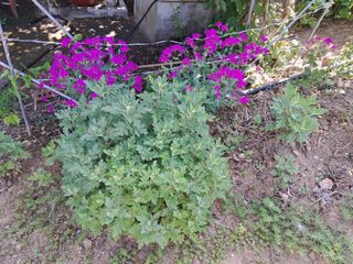 경선님의 자유주제 · 사진전 작성글 사진