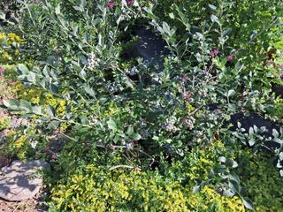 경선님의 자유주제 · 사진전 작성글 사진