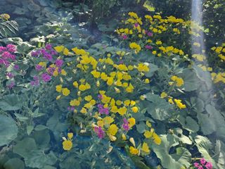 경선님의 자유주제 · 사진전 작성글 사진