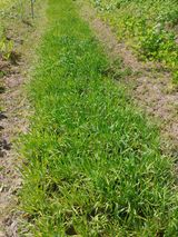 팜모닝 자유주제·자유게시판 게시글 이미지