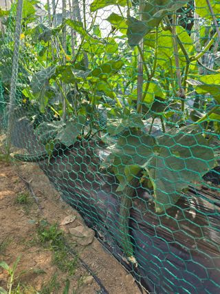 들깨19622님의 자유주제 · 자유게시판 작성글 사진