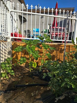 들깨19622님의 자유주제 · 자유게시판 작성글 사진