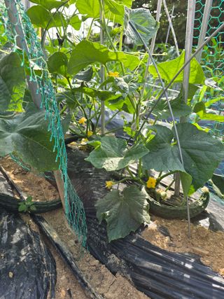 들깨19622님의 자유주제 · 자유게시판 작성글 사진