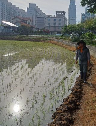 박병규님의 6월 내 작물 자랑하기🌱 · 참여글 작성글 사진