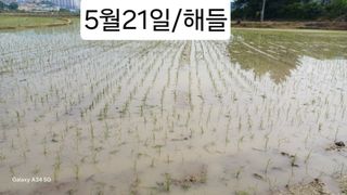 박병규님의 6월 내 작물 자랑하기🌱 · 참여글 작성글 사진