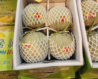 프레셔스님의 자유주제 · 자유게시판 작성글 사진