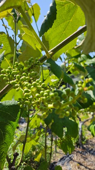 윤근순님의 자유주제 · 자유게시판 작성글 사진