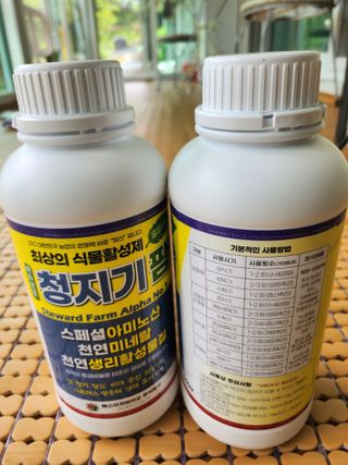 배주원님의 6월 내 작물 자랑하기🌱 · 참여글 작성글 사진