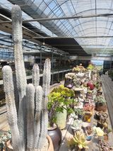 팜모닝 6월 내 작물 자랑하기🌱·참여글 게시글 이미지