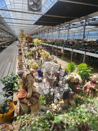 낭만농부님의 6월 내 작물 자랑하기🌱 · 참여글 작성글 사진